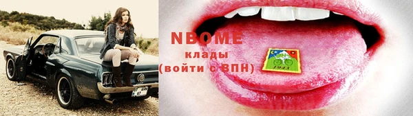 индика Киренск