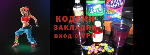 индика Киренск