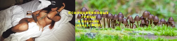 кокаин VHQ Кинешма