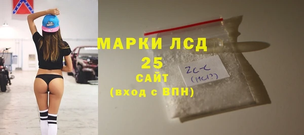 индика Киренск
