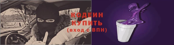 индика Киренск
