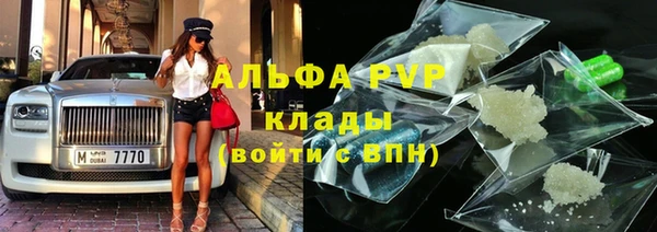 индика Киренск
