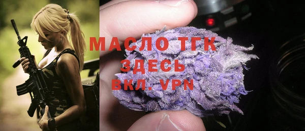 индика Киренск