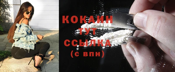 индика Киренск