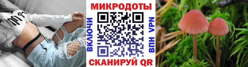 Купить где  Заволжье  Псилоцибиновые грибы MAGIC MUSHROOMS 